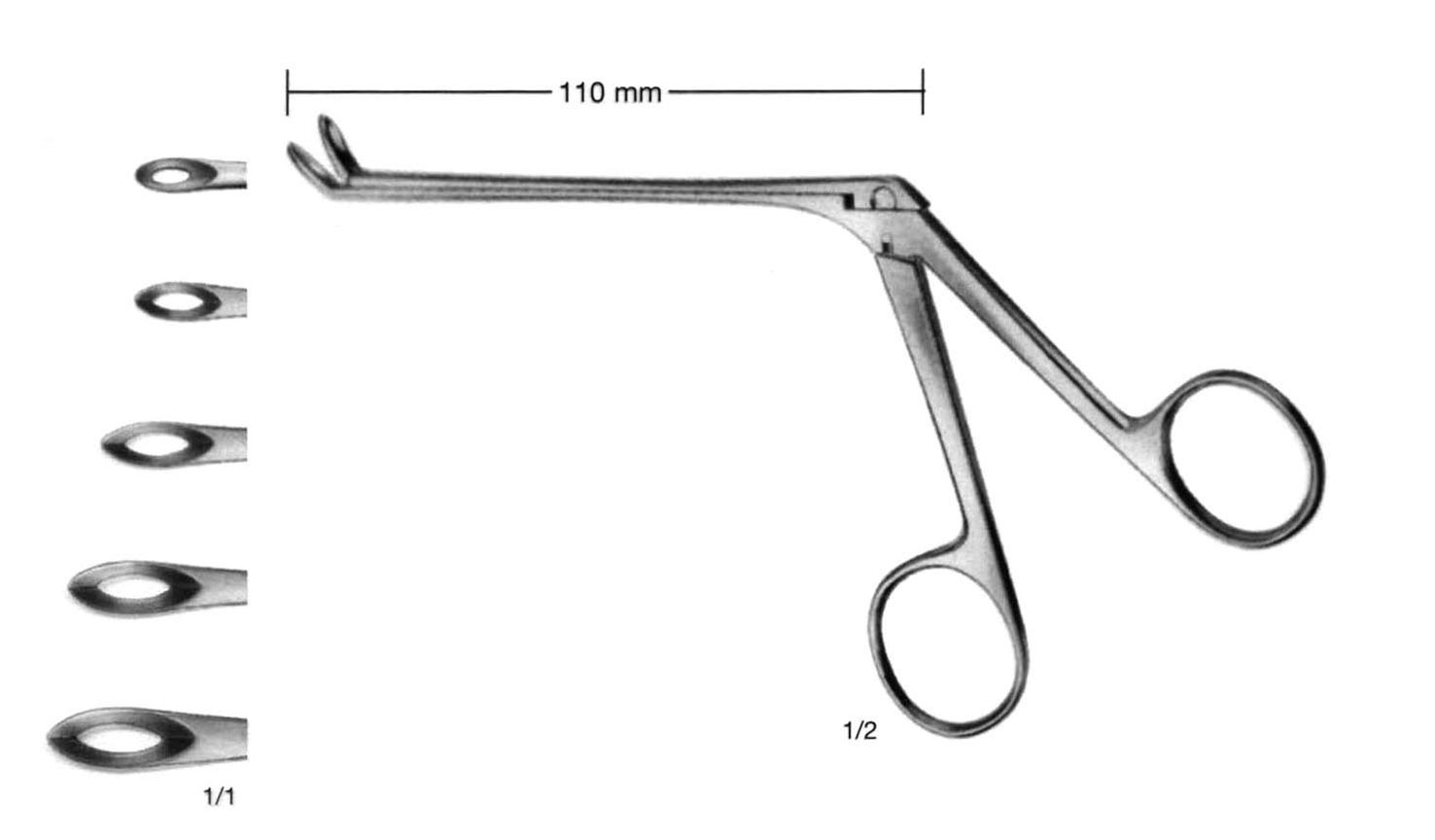 WEILL-BLAKES RONJUR  DÜZ YUKARI